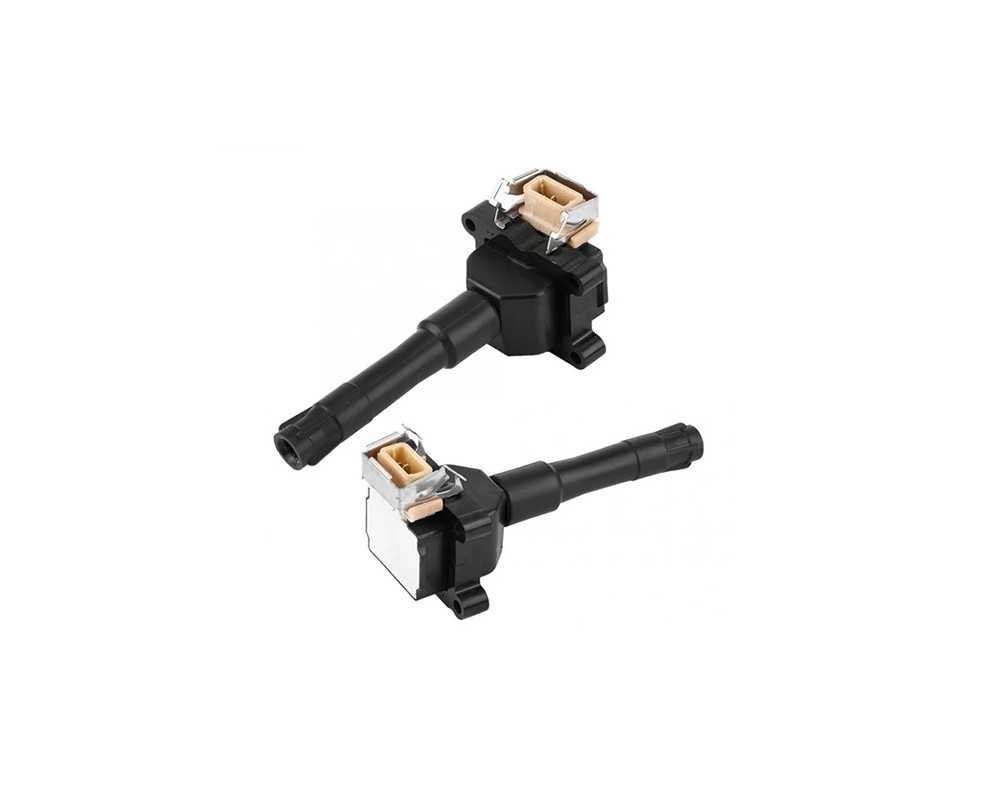 Ignition Coil - 12131703359-es