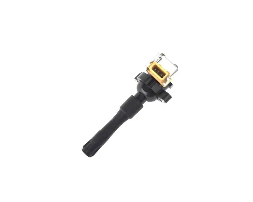 Ignition Coil - 12131748018-es