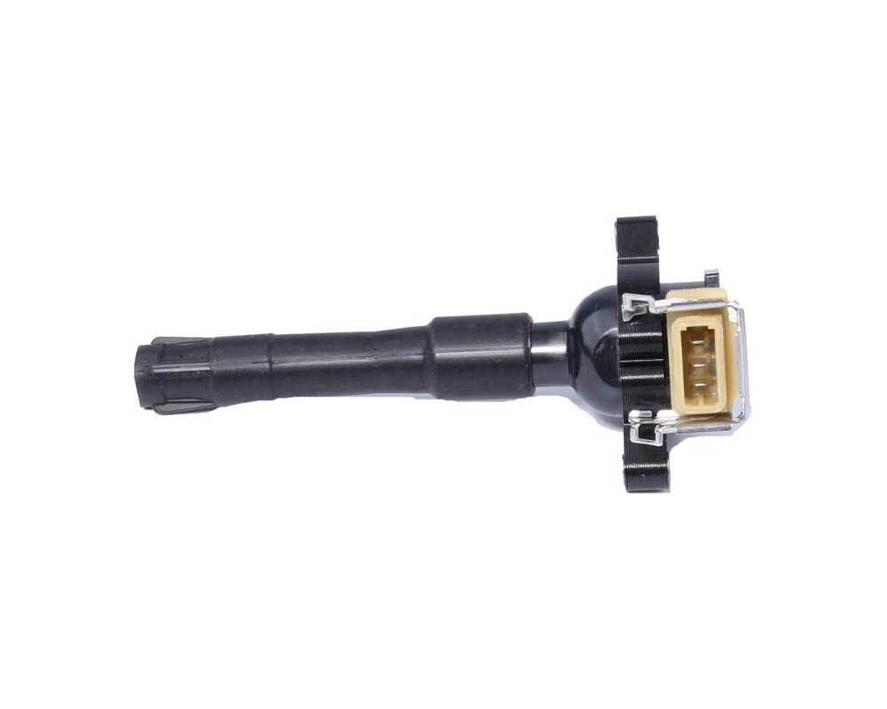Ignition Coil - 12131748018-es