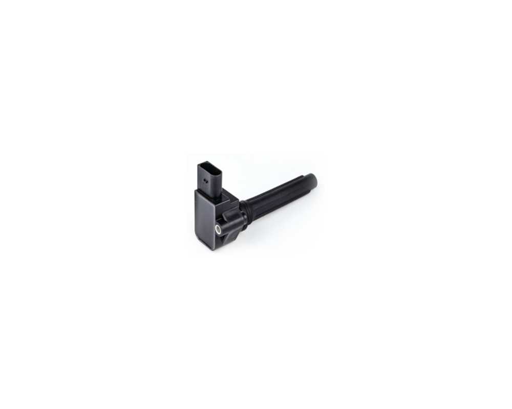 Ignition Coil - 079905110P-es